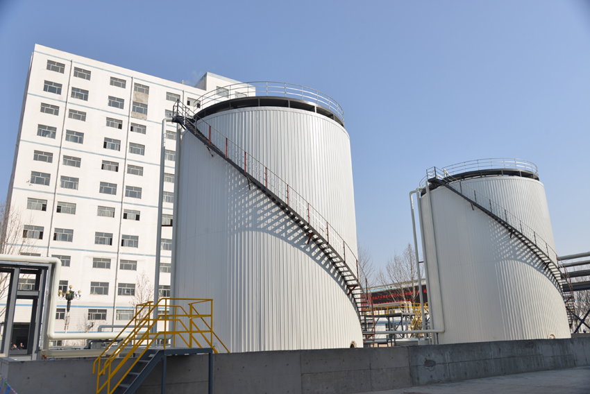 cddf13ef501a4a6a91eb82875bcc8e62